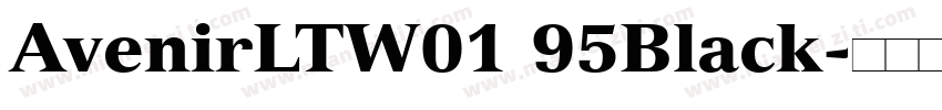 AvenirLTW01 95Black字体转换